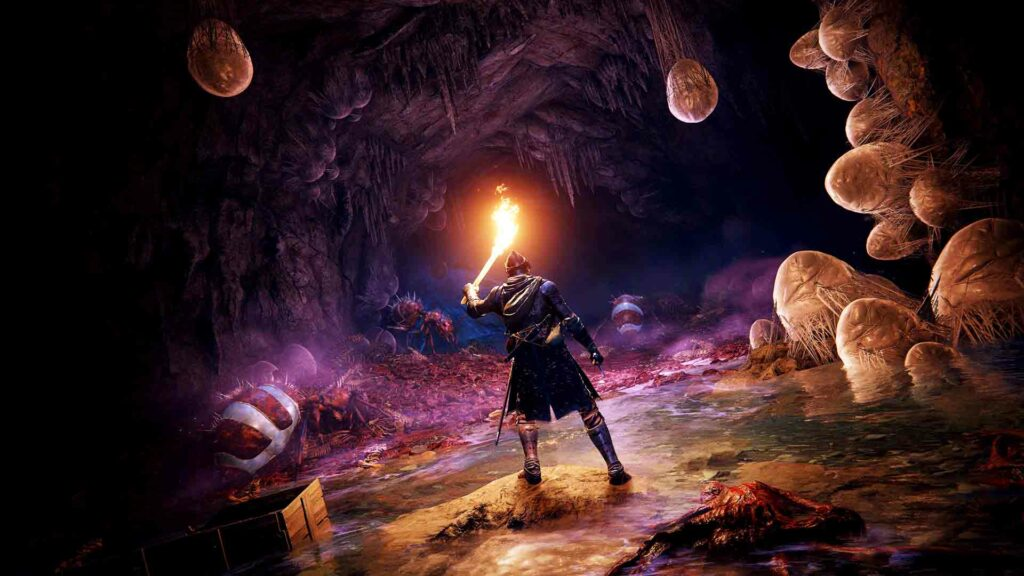 An Elden Ring knight stands alone in a cave of eggs and larva. The knight holds a torch and stares out into the distance.