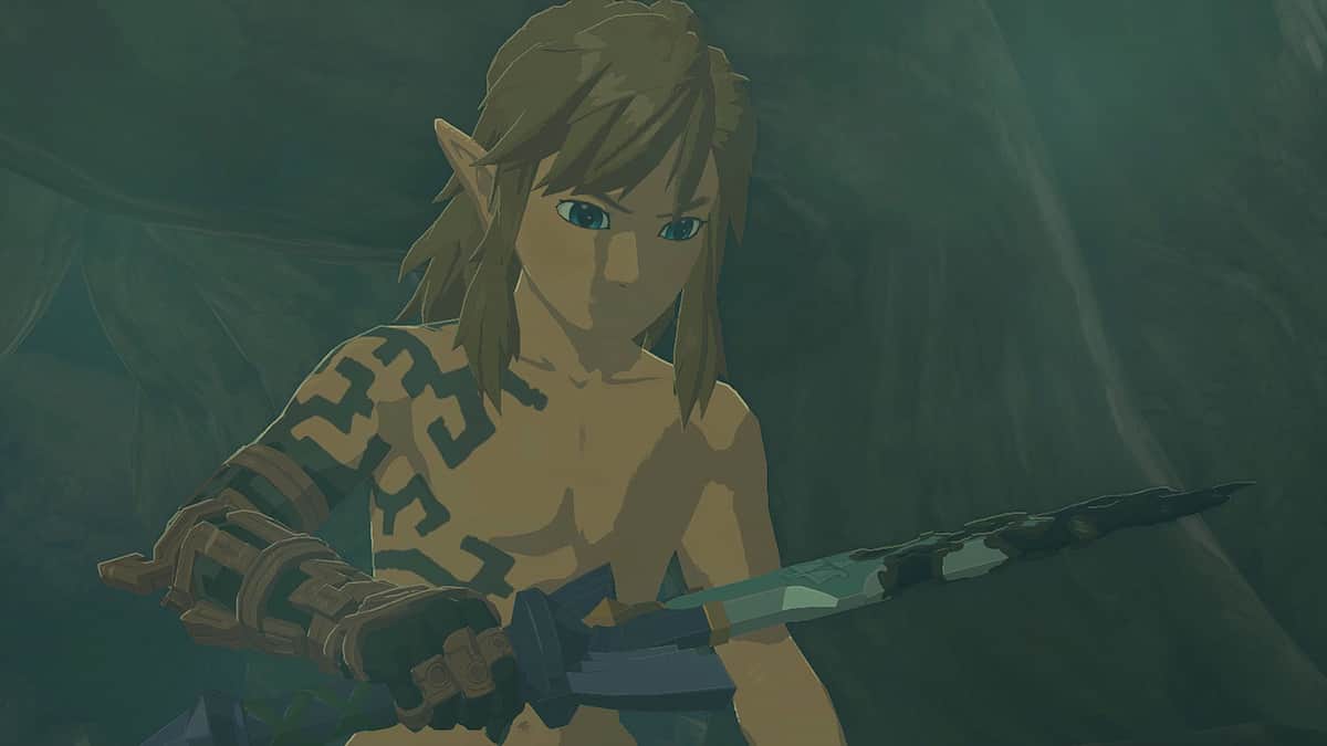 link holding the master sword in tears of the kingdom