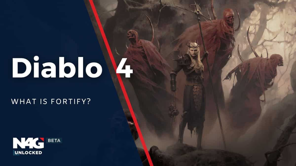 What Is Fortify in Diablo 4? - Explained