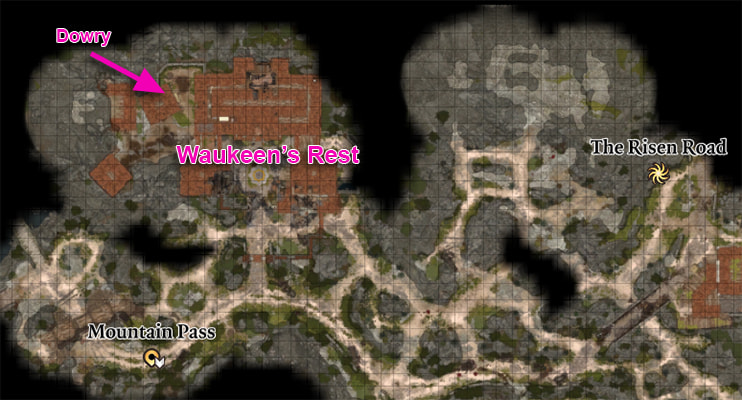 Baldur's Gate 3 Where to find the dowry in Waukeen's Rest