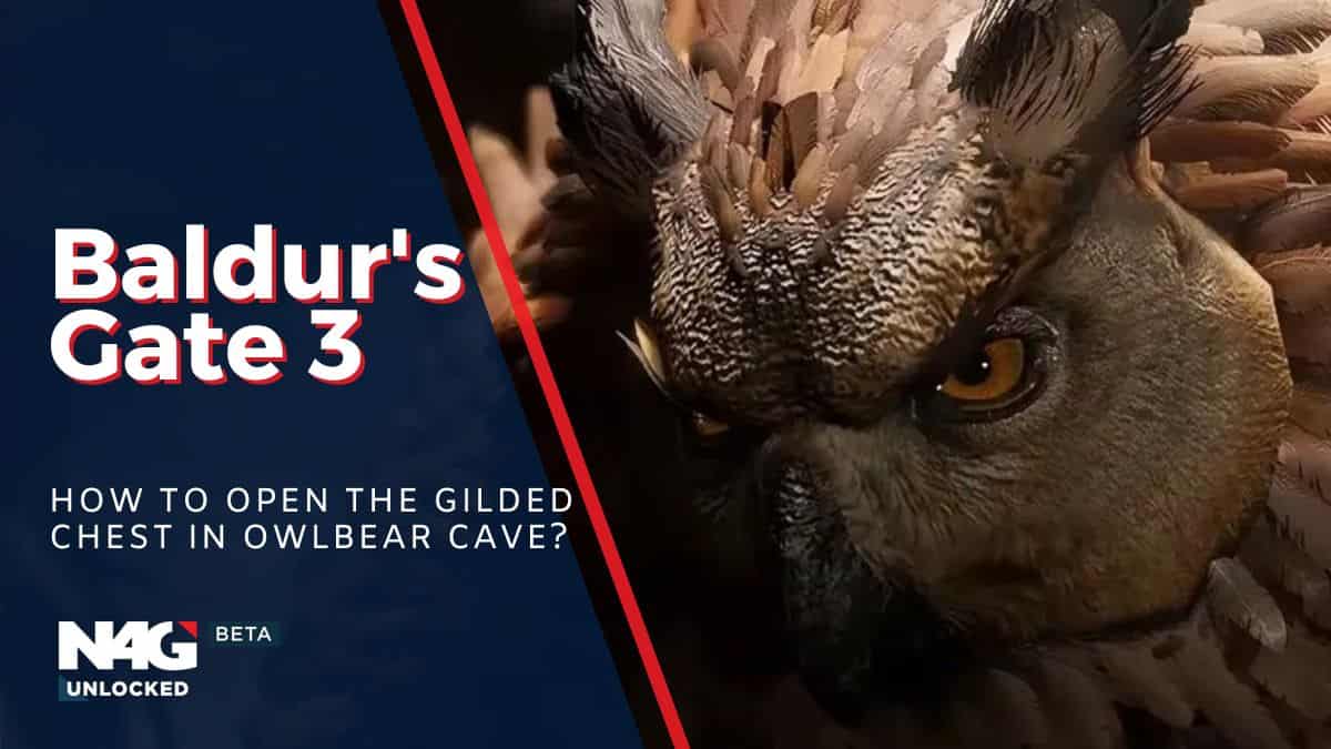 Baldur's Gate 3 Owlbear cave chest