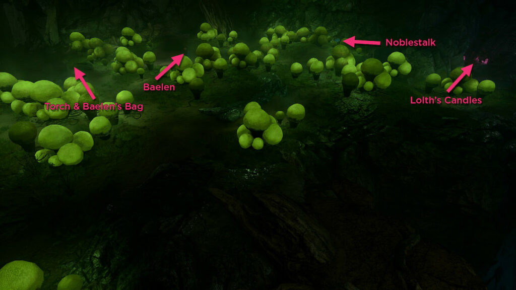 Layout of the mushroom field in Baldur's Gate 3.