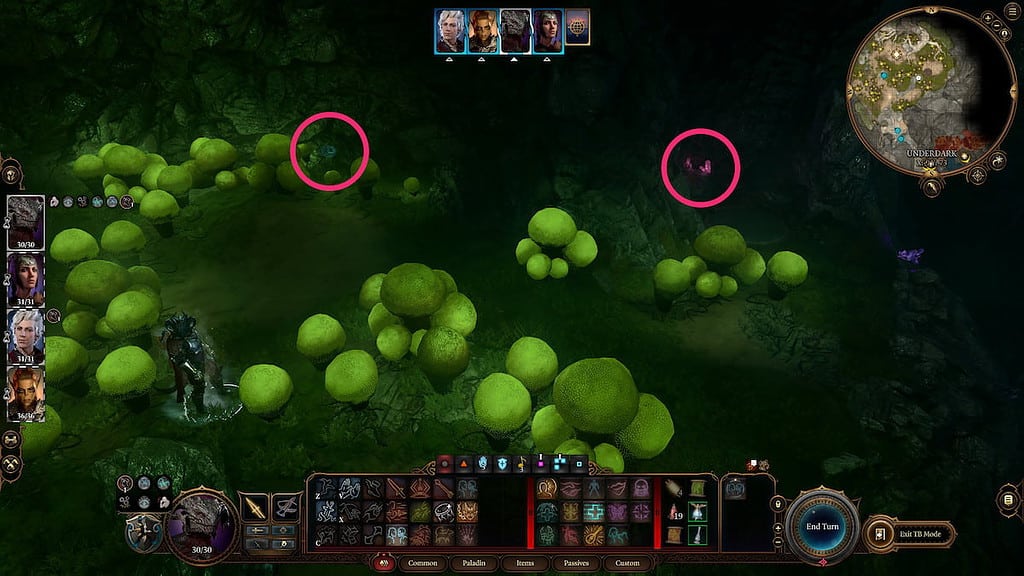 Image of Noblestalk and Lolth's Candle locations in the mushroom field in Baldur's Gate 3.