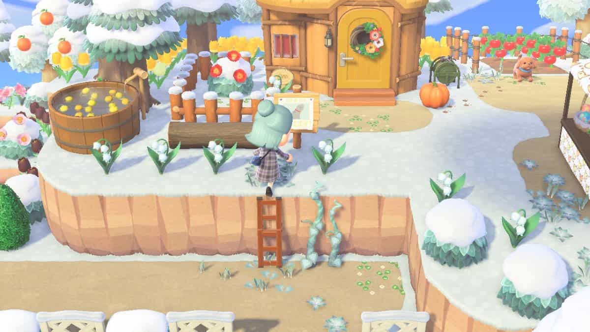 Player climbs a ladder in Animal Crossing: New Horizons