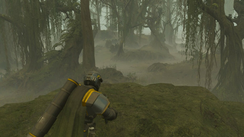 Helldivers 2 player looking at the distant forest