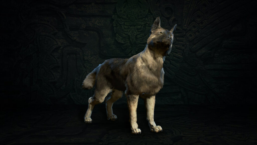 Diablo 4 dog asheara