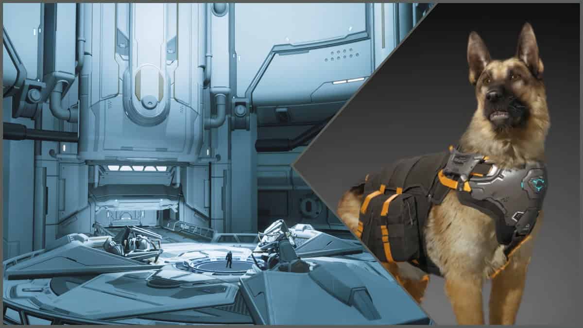 The First Descendant Void Vessel chamber and an image of a doggo - Fellow