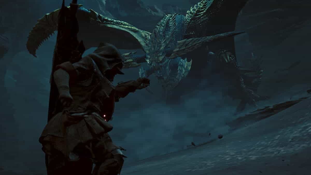 Monster Hunter Wilds player encounters a monster.