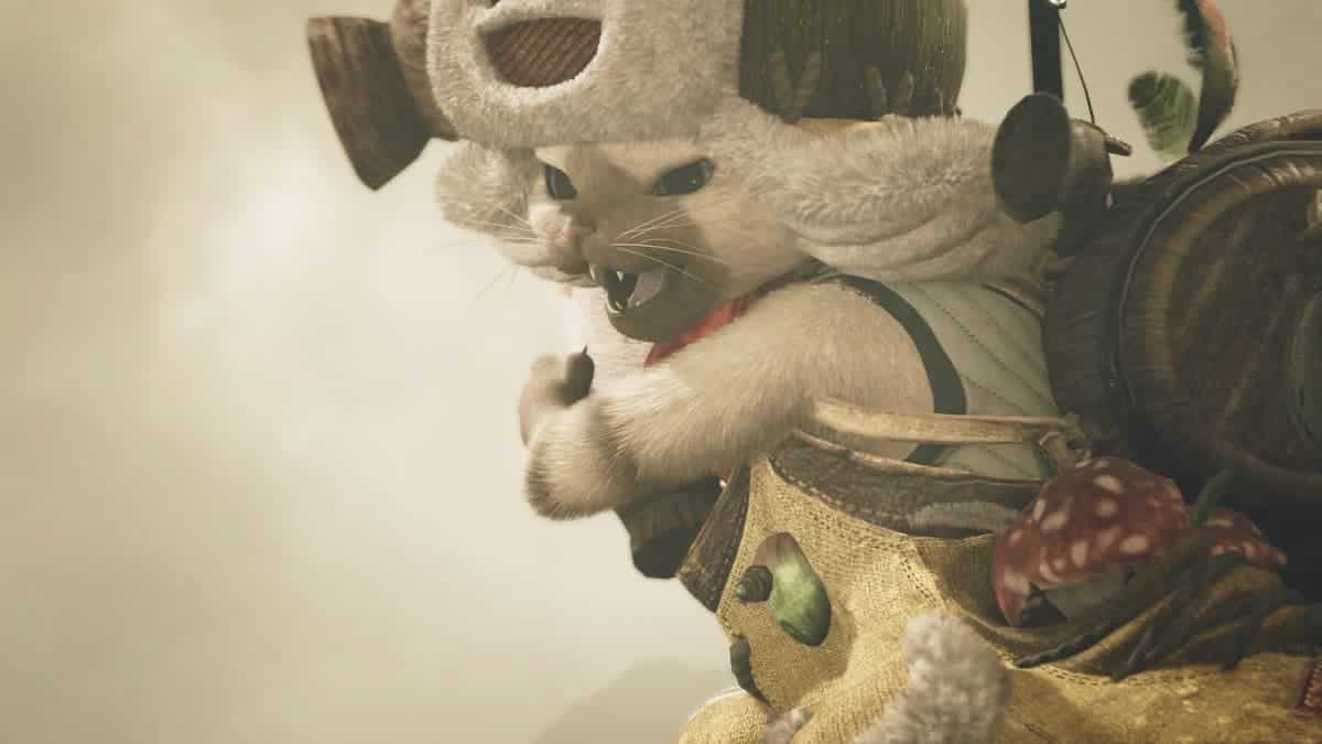 A Palico in Monster Hunter Wilds.